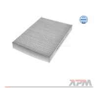 Meyle 16-12 319 0001 Filtro Aerazione per Interni Renault Clio II Dacia Nissan