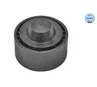 MEYLE 16-14 009 0012 Galoppino/Guidacinghia, Cinghia Poly-V per CITROËN,DS,FIAT,