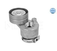 MEYLE 16-14 020 0007 Braccio tenditore, Cinghia Poly-V per RENAULT