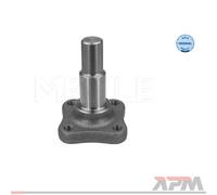 Meyle 16-14 501 0000 Mozzo Della Ruota Posteriore Per Renault Dacia