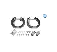 MEYLE 16-14 533 0020 Kit ganasce freno per Clio Sandero Logan C3 Thalia C2 1007