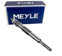Candeletta per OPEL RENAULT VAUXHALL ARENA CLIO KANGOO MEGANE SCÉNIC TRAFIC