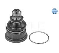 MEYLE 16-16 010 0021 Testina braccio oscillante per RENAULT Zoe (BFM) Anteriore