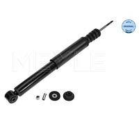 MEYLE 16-26 725 0009 Ammortizzatore posteriore per Renault Clio