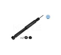 Meyle Ammort Post Re Clio Iii 16-267250009