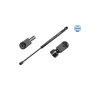 Meyle 16-40 910 0019 Molla a Gas Valigia Bagagliaio per Renault Megane II