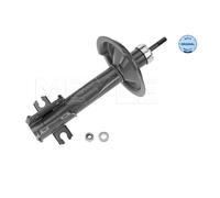 Originale MEYLE Ammortizzatore 226 613 0011 per Fiat
