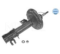 MEYLE 226 623 0016 Ammortizzatore per FIAT,FORD