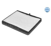 Meyle Filtro abitacolo 29-12 319 0007 – Filtro particellare per Chevrolet/Daewoo