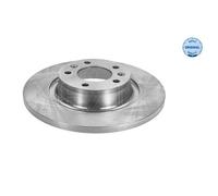 MEYLE 2X Dischi Freno Posteriori Ø290 Mm Per Citroën Jumpy Kasten Peugeot Expert