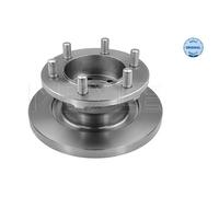 MEYLE 2x Disco Freni Anteriore Ø290 MM Pieno per Iveco Quotidiano III.