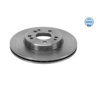 MEYLE 2x Disco Freni Anteriore Ø295 MM per Mercedes-Benz Cabriolet A124 300