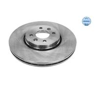 MEYLE 2x Disco Freni Anteriore Ø300 MM Ventilato per Renault Gran Scénic II JM0
