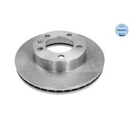 MEYLE 2x Disco Freni Anteriore Ø302 MM Ventilato per Renault Master III Box Fv