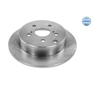 MEYLE 2X Disco Freno Posteriore Ø290 Mm Per Toyota Corolla Verso ZER_ ZZE_ R1_