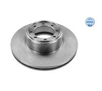 MEYLE 2x Disco Freno Posteriore Ø294 MM Ventilato per Iveco Daily IV Scatola /