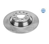MEYLE 2x Disco Freno Posteriore Ø300 MM Pieno per VW Passat Variante 3G5 2.0 Tdi