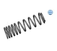 MEYLE 2x Molla di Sospensione Spirale Posteriore Adatto A per VW Passat Variant
