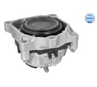 MEYLE 300 118 1129 Sospensione, Motore per BMW