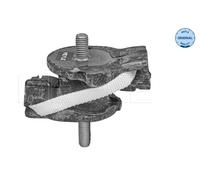 MEYLE 300 221 1172 Supporto, Cambio automatico per BMW