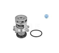 MEYLE 313 011 2900 Pompa acqua per