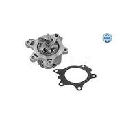 MEYLE 313 220 0010 Pompa acqua con guarnizione