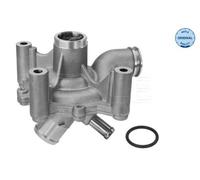 MEYLE 313 220 0013 Pompa acqua per MINI Schrägheck (R50, R53) Cabrio (R52)