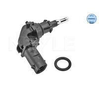 MEYLE Sensore temperatura aria aspirata 314 812 0004 Originale per BMW Mini