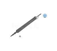 Meyle Ammortizzatore posteriore 3267250027 spina superiore per BMW X1 (E84) 2010-2015