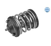 MEYLE 328 228 0010 Termostato, refrigerante per BMW,MINI,TOYOTA