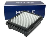 Meyle 33-12 321 0004 Filtro aria