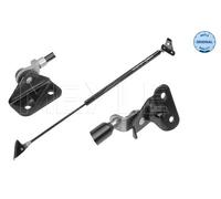 MEYLE Molla a gas 33-40 910 0000 - Portellone posteriore Destra per Suzuki, Opel