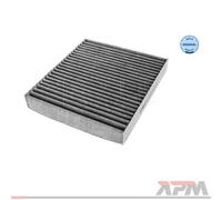 Meyle 34-12 320 0001 Filtro Aerazione per Interni per Suzuki Vitara Subaru