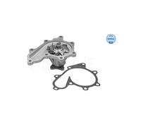 Meyle Pompa acqua 36-13 220 0007 - Raffreddamento motore per Nissan Almera/Tino/X-Trail/Primera