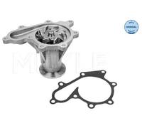 MEYLE 36-13 220 0016 Pompa acqua per NISSAN NP300 Navara Pickup (D40)