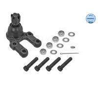 MEYLE 36-16 010 0003 Giunto di supporto / guida per FORD,NISSAN