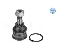 Meyle 36-16 010 0039 Braccio Strutturale Frontale per Nissan Almera I Sunny III