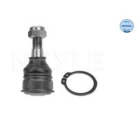 Meyle Giunto sferico anteriore 36-16 010 0049 Sinistra/Destra per Nissan Micra K11