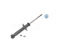 MEYLE Ammortizzatore Assale Posteriore Adatto per Nissan Almera II Hatchback N16