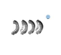 MEYLE Kit ganasce freno posteriore 40-14 533 0001