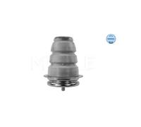 Meyle Tampone Sosp Post Fiat Ducato 40-147420002