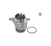 Pompa Dell’acqua Raffreddamento Motore Meyle 53132200008 per Jaguar Land Rover