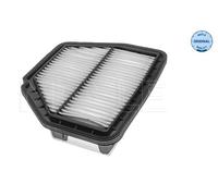 MEYLE 6123210005 Filtro Aria per Opel Antara L07 Chevrolet Captiva C100 C140