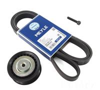 Meyle 6PK1765 Cinghia Scanalata + Galoppino per VW Transporter T4 2.5 Tdi