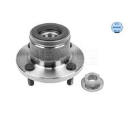 Meyle 714 750 0010/S Mozzo Ruota Posteriore per Ford Focus Dfw Fuoco Torneo Dnw