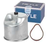 Meyle 7143230015 Filtro del carburante