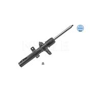 MEYLE Ammortizzatore per FORD 726 623 0054