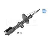 MEYLE Ammortizzatore Anteriore Adatto Per Dacia Duster HM_ HM Renault Kasten