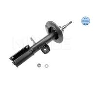 MEYLE Ammortizzatore Anteriore Destro Compatibile Per BMW X5 E53