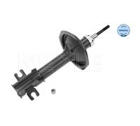 Meyle Ammortiz Ant Fi Punto (176) 2266130007